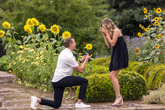 Proposal-43